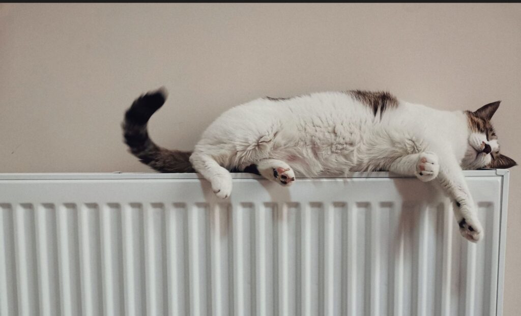 The Most Cost Effective Ways To Heat Your Home This Winter